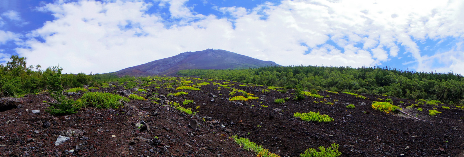 �䒆���@���򂩂�̕x�m�R