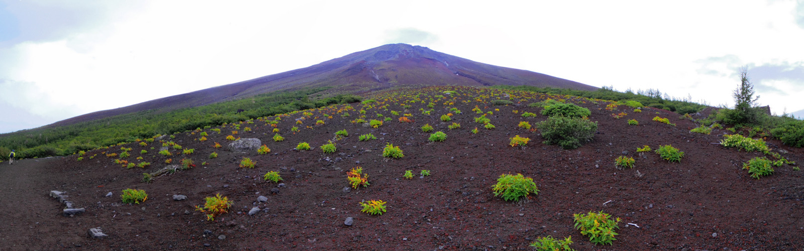 �䒆���@����x�`��납��̕x�m�R