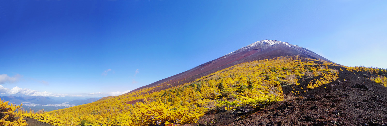 �x�m�R�䒆���̂���̍�������