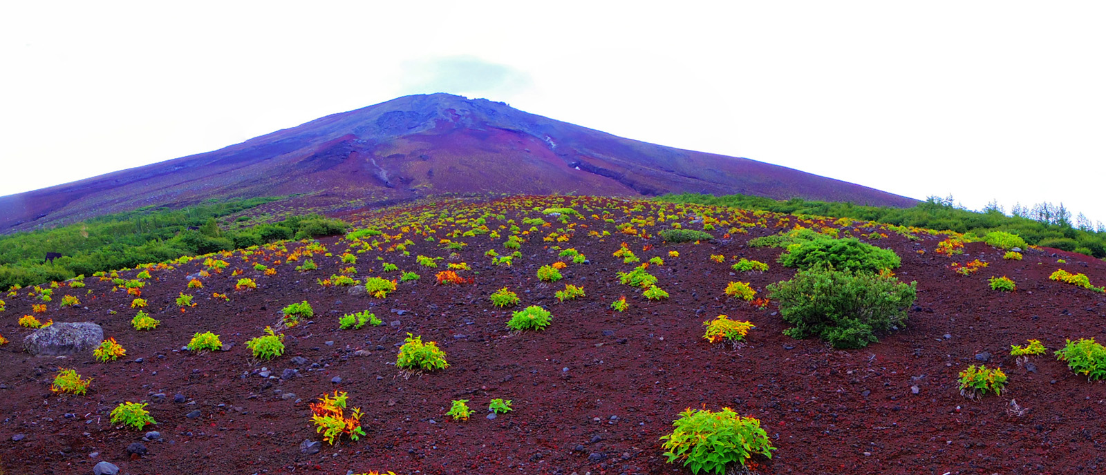 �x�m�R�䒆���@���-����x�@�p�C�I�j�A�A���Q�̐i��