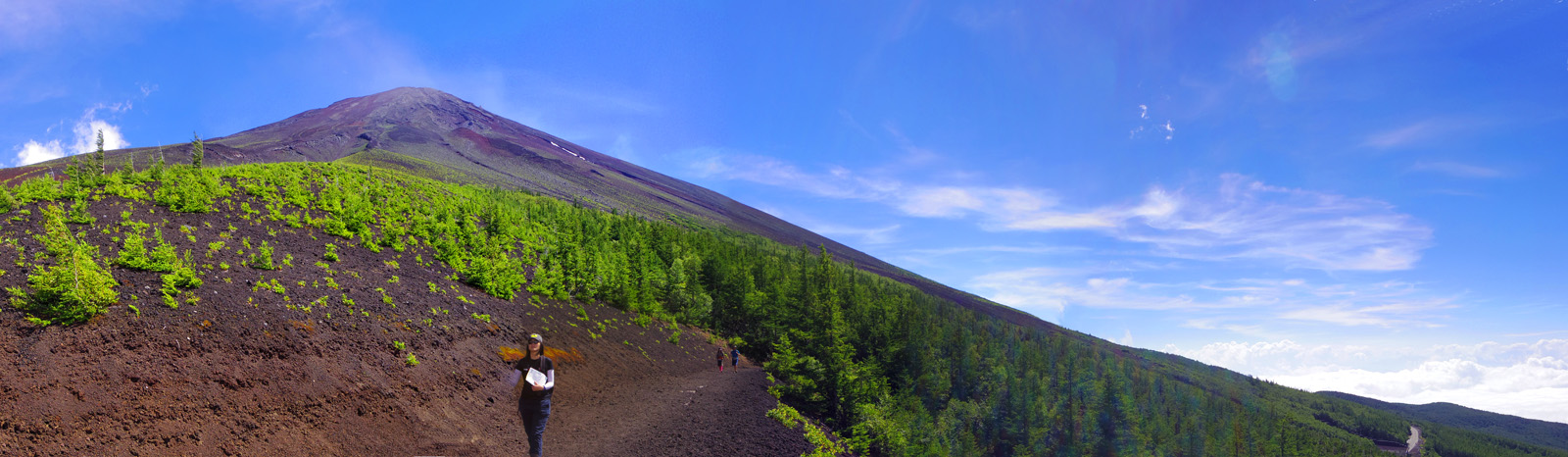 �x�m�R�䒆���@���-����x�@�P�@�@�@�E�̂����삪�ǂ��܂ł��L�тĂ����܂�