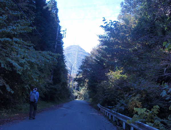 変電所に進む道