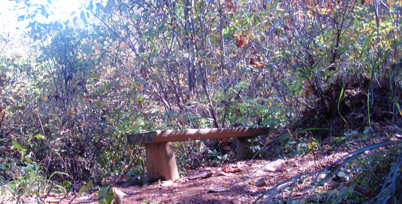 見晴らしベンチ