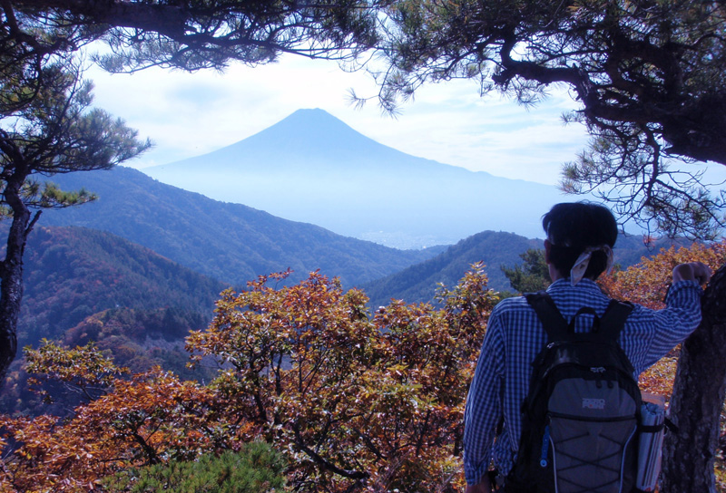 清八山の二本の松の間から富士山