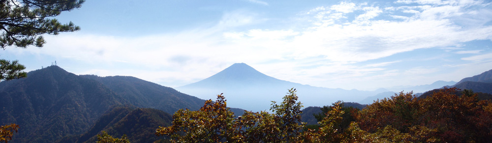 清八山からの富士山