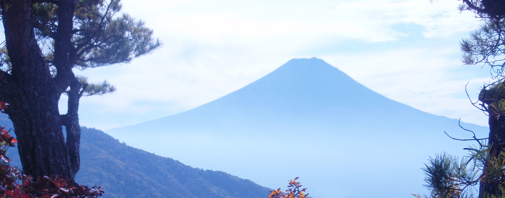 清八山山頂の二本の松の間からの富士山