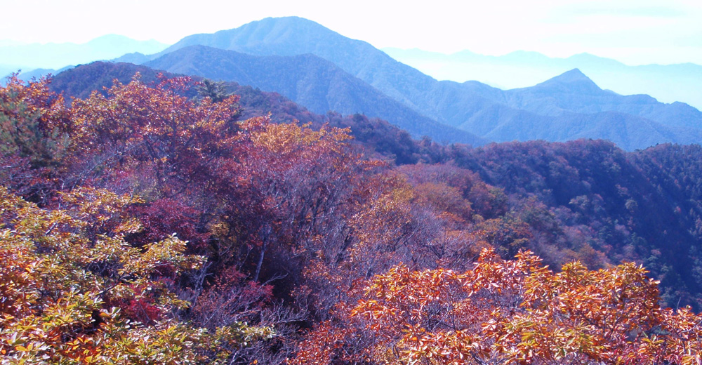 御坂黒岳と釈迦ヶ岳