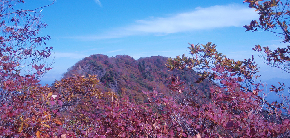 清八山からの造り岩と本社ヶ丸