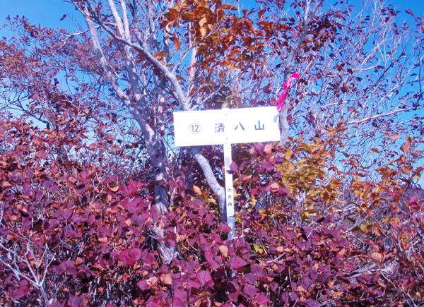 清八山表示板