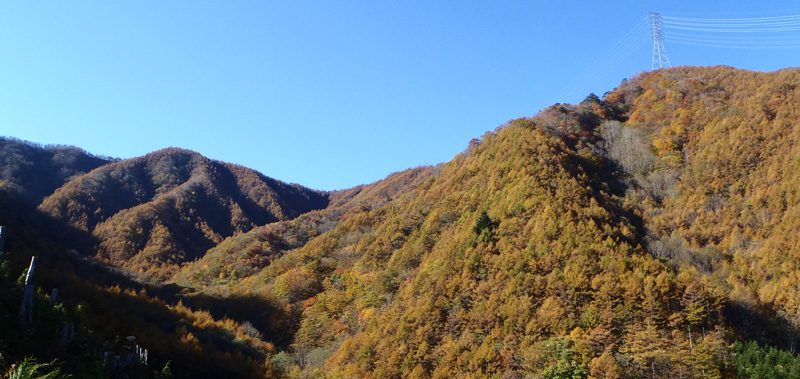 登山口ポスト付近の山の紅葉
