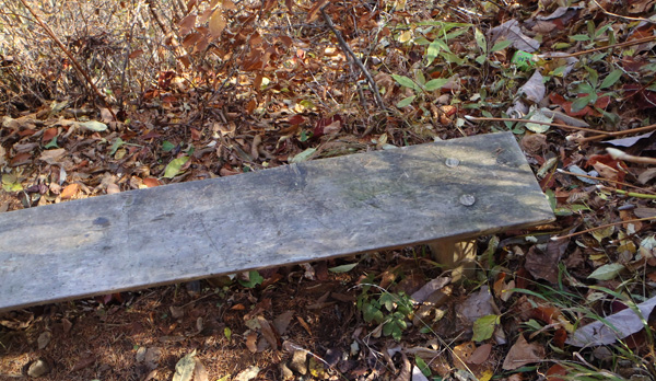 見晴らしベンチ