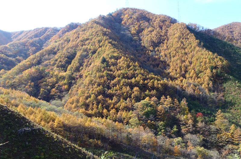 紅葉の山