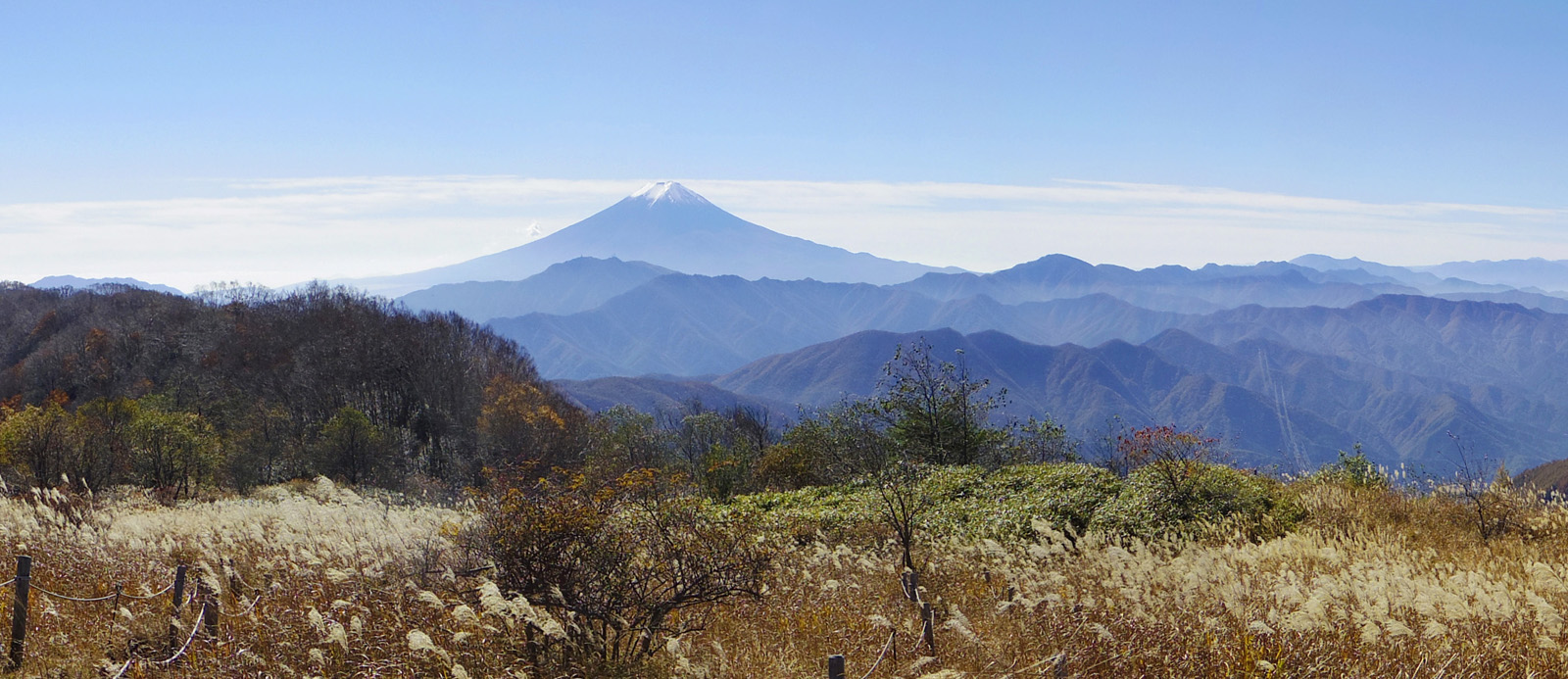 �呠���ے��ォ��̕x�m�R