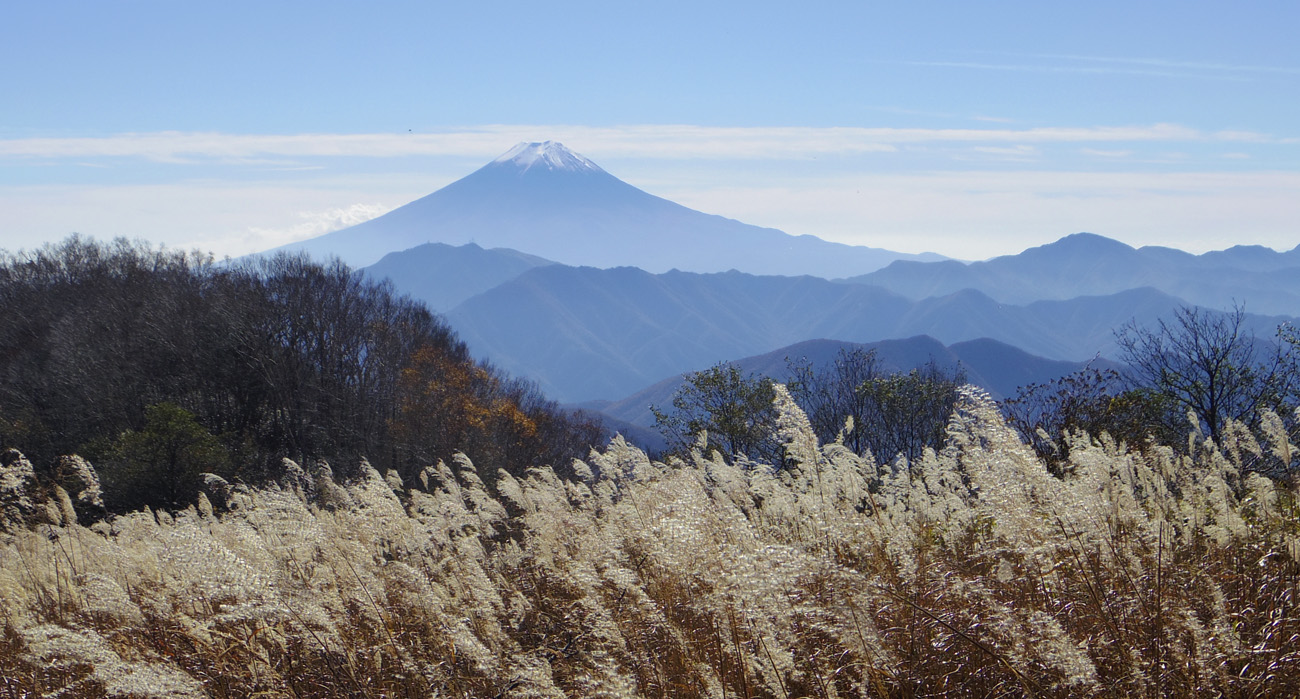 �@�呠���ۂ���̃X�X�L�ƕx�m�R