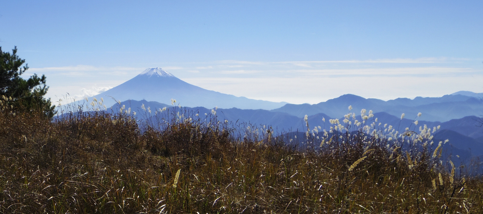 �@�呠���ۂ���n�}�C�o�ۂɍs���r���ŃX�X�L�̉��ɕx�m�R