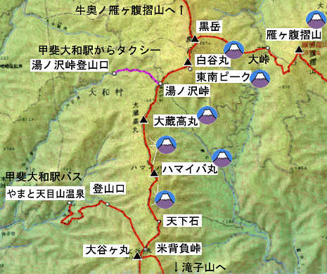 大蔵高丸、ハマイバ丸の登山コース