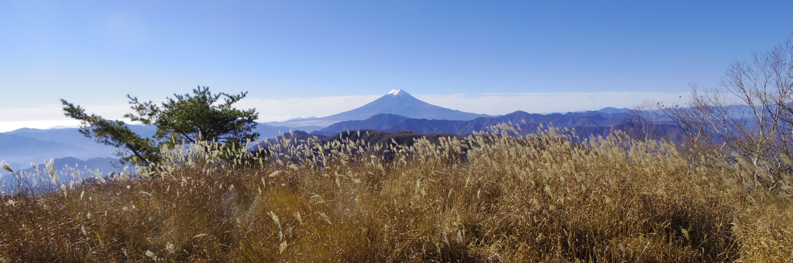 ���m�򓻂��甒�J�ۂɂ����o�R������@�X�X�L�ƎR���݂Ɉ͂܂�ĘȂޕx�m�R