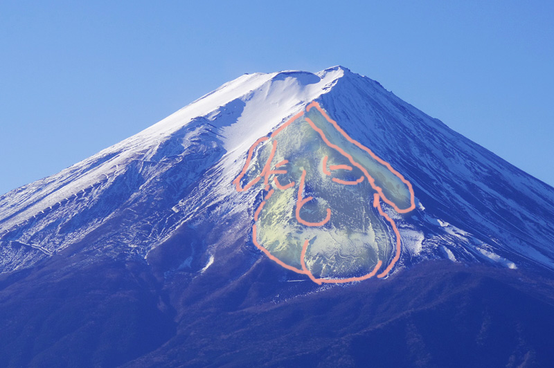 富士山中腹に眠る犬