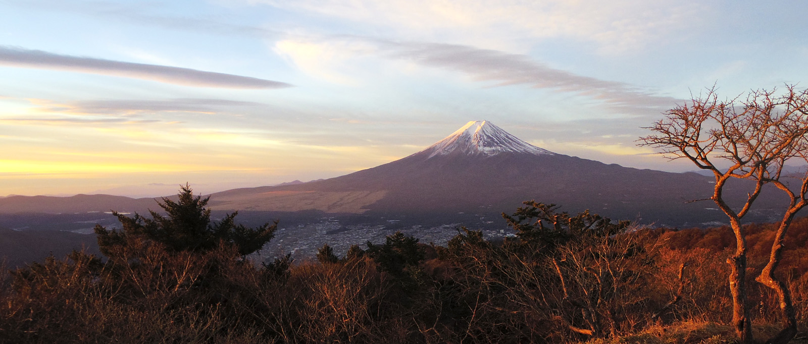 ���̏o����13����̕x�m�R�B