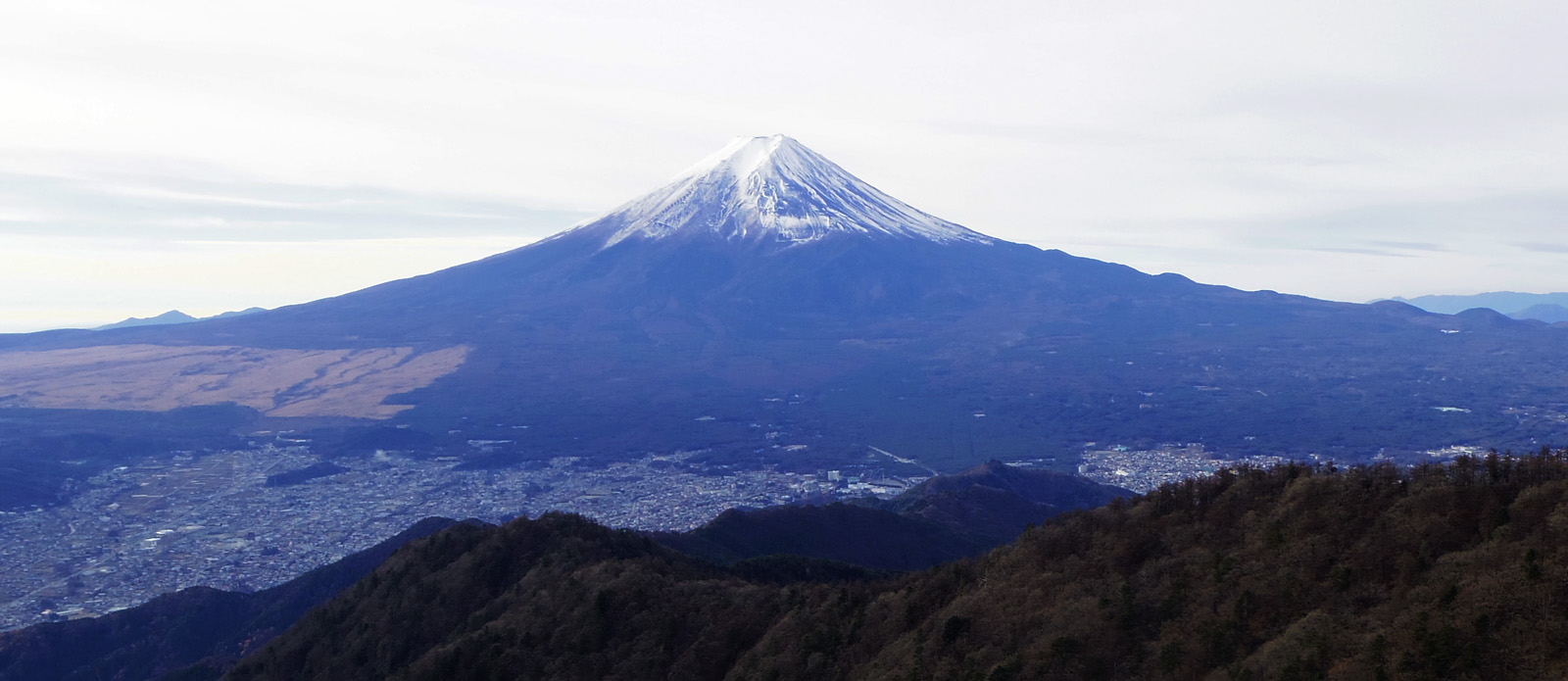 �J�^�R�R���̒���������̕x�m�R