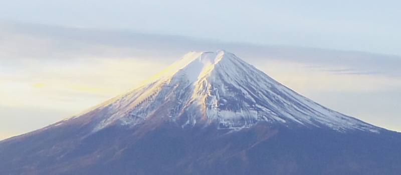 �x�m�R�����ɖ��錢�@2015.12.06�@6�F56