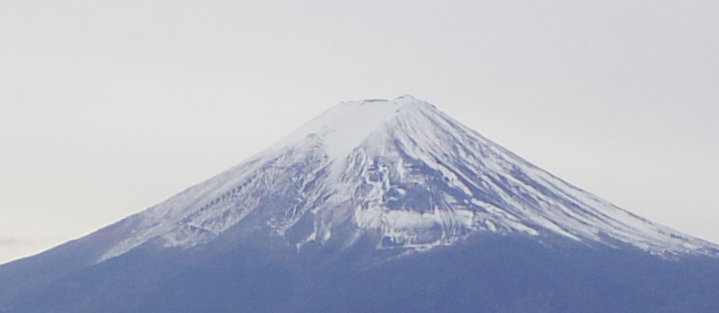 �x�m�R�����ɖ��錢�@2015.12.06�@12�F11