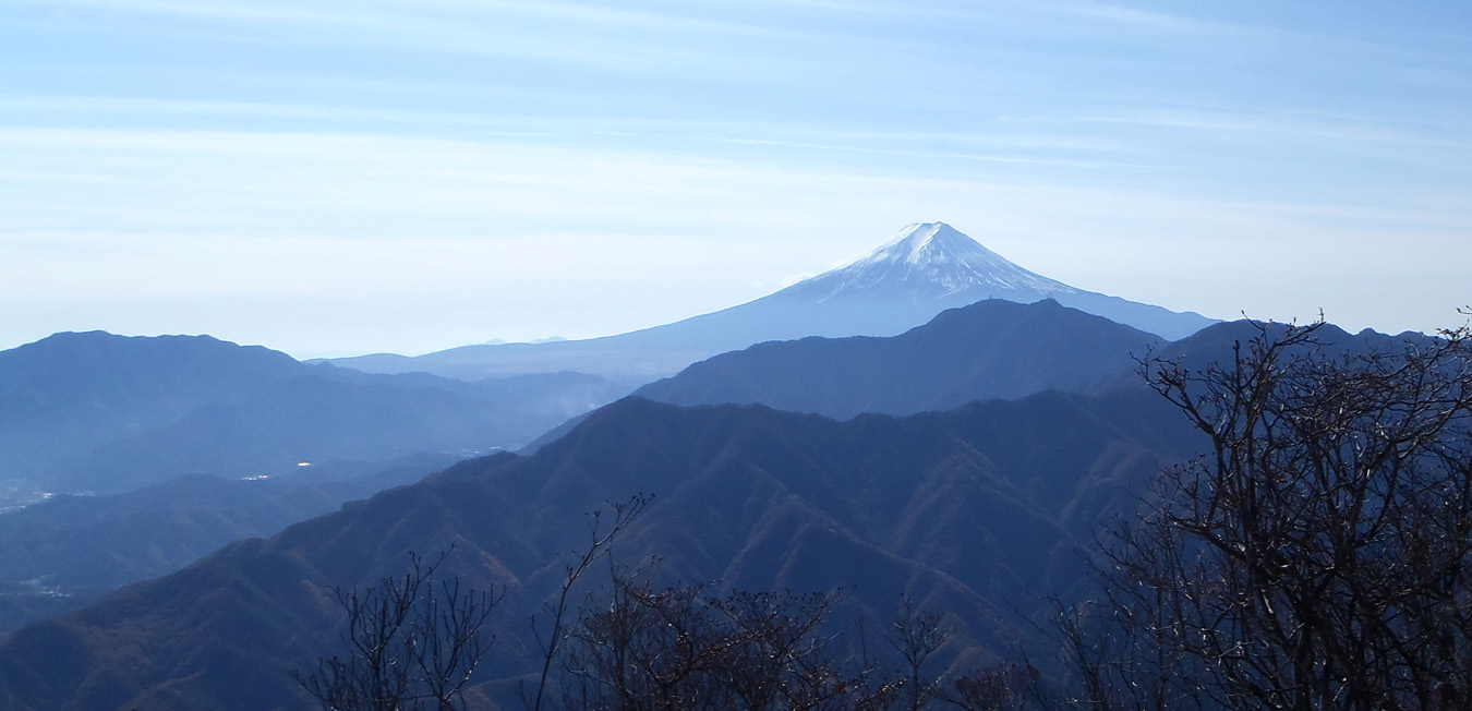 ��q�R�R������̕x�m�R