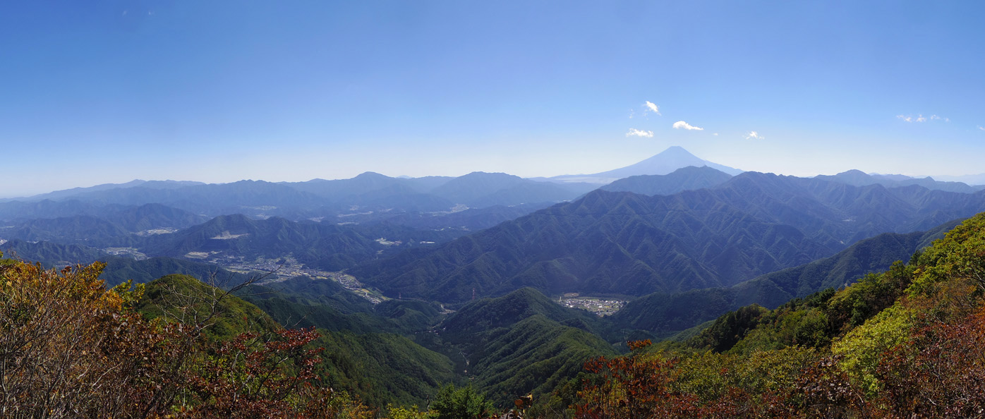 ��q�R�R������̕x�m�R�������W�]