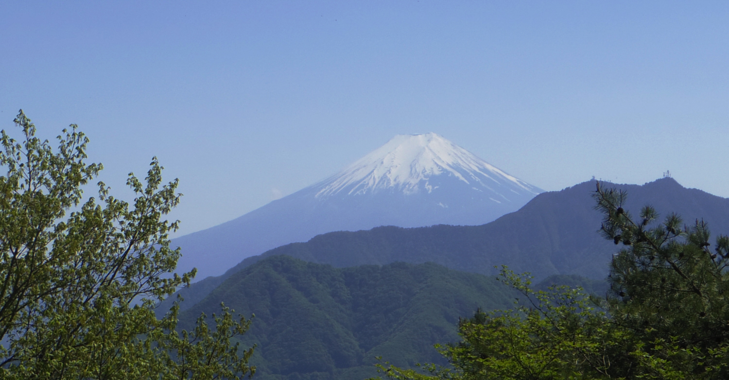 ��q�R�̞w������̕x�m�R