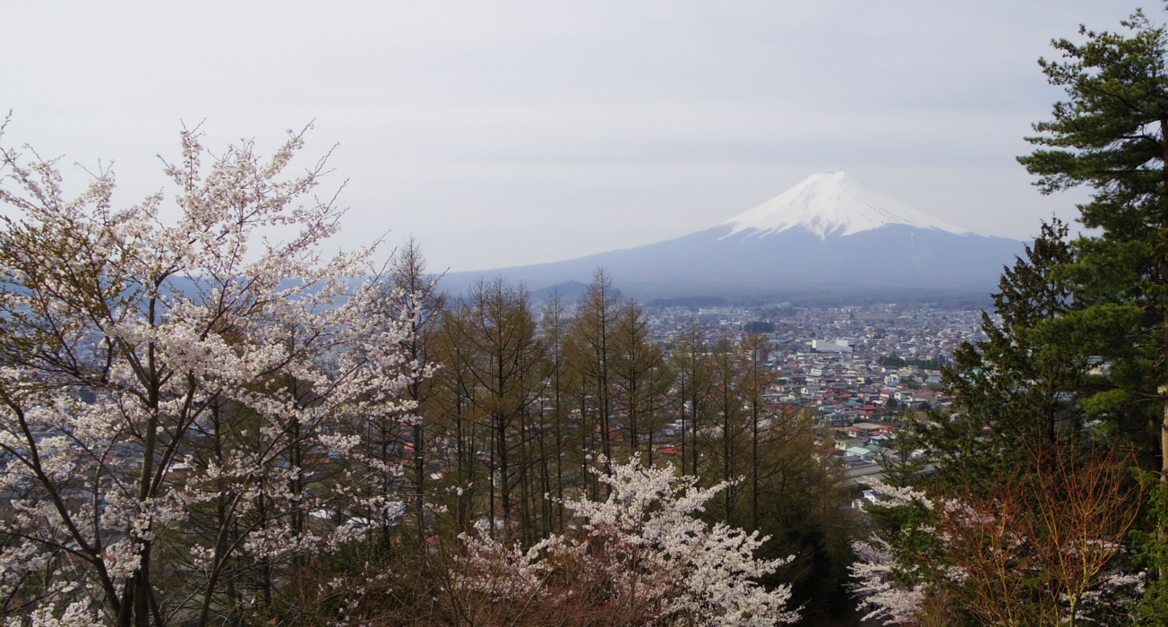 �V�q�R��Ԍ�������̕x�m�R