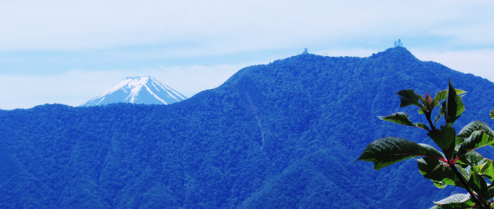 �߃������R�R��30����O�̓o�R������̕x�m�R