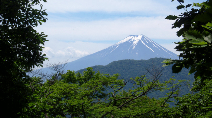 �߃������R����̕x�m�R