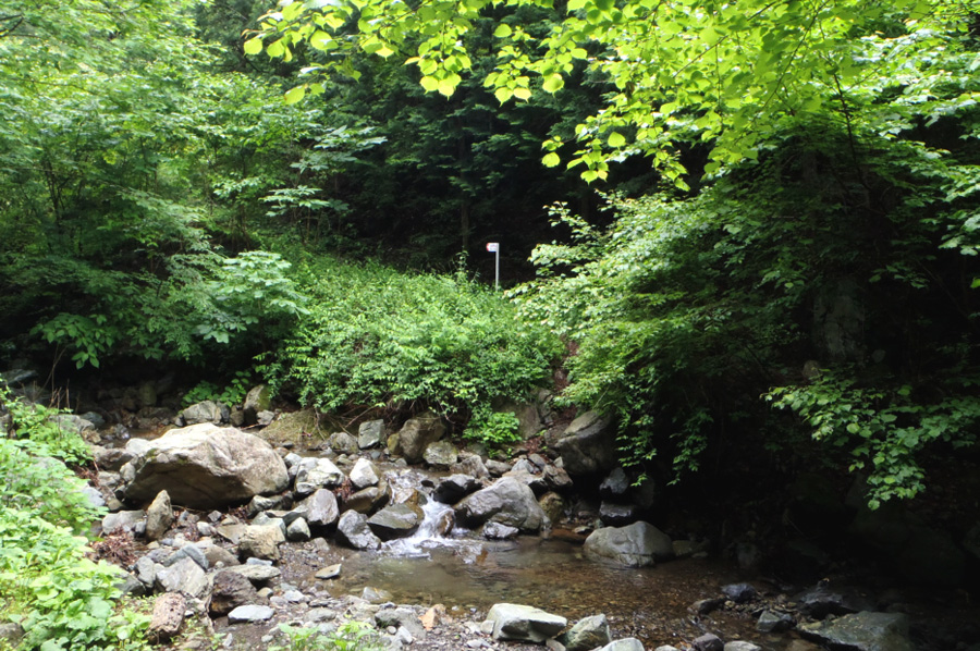 �ѓ��I�_�̑�