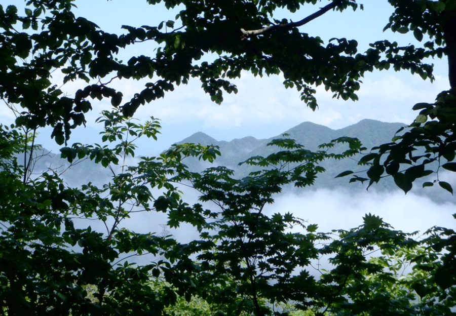 �}�̌��Ԃ��猩����R����