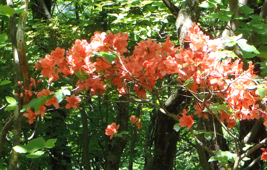 ���}�c�c�W