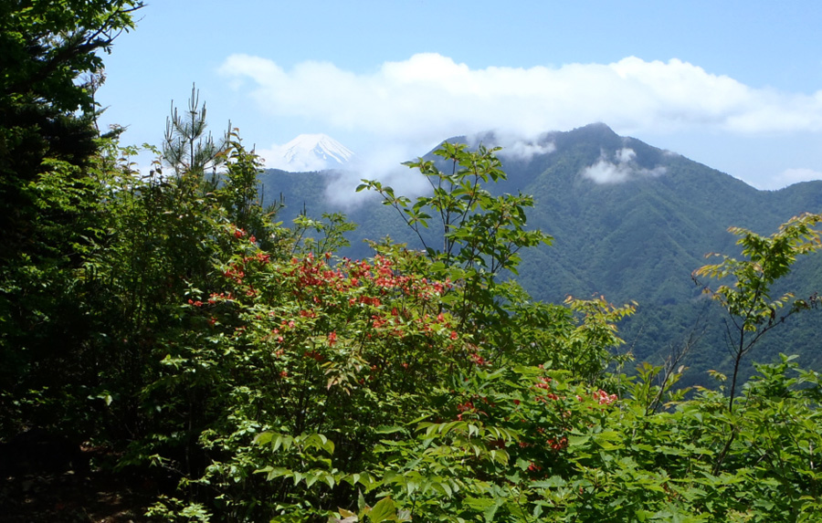 �O�c���R�̓��̌��ɕx�m�R