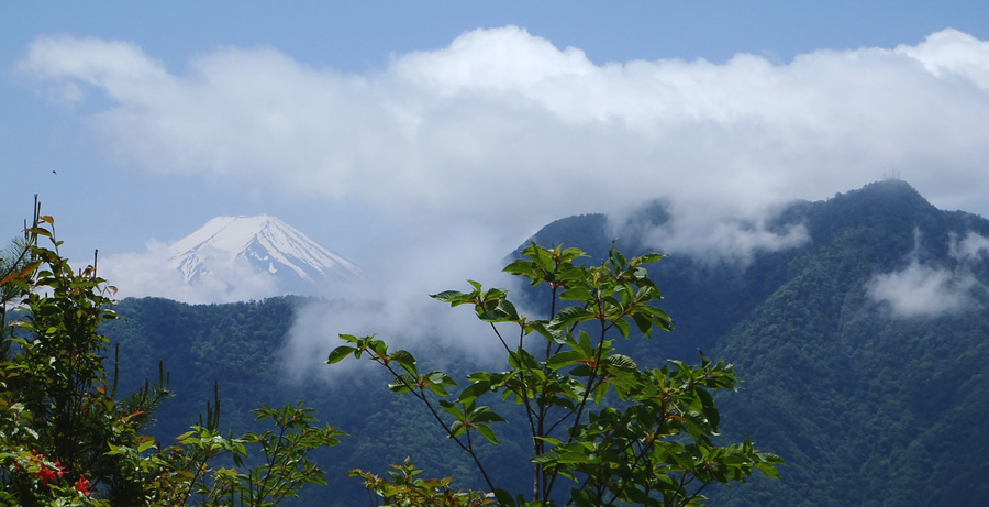 �߃������R�R��30����O�̓o�R������̕x�m�R