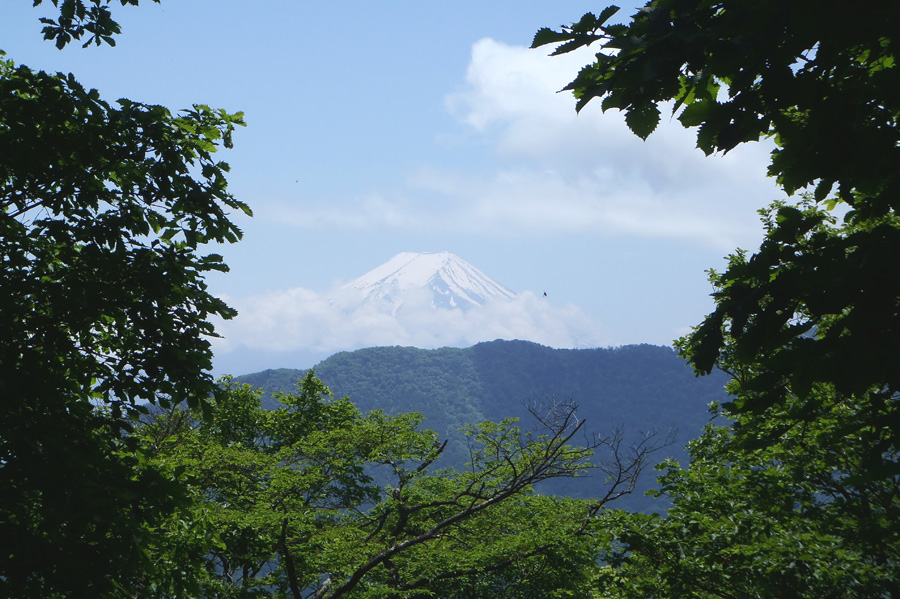 �߃������R�̎R���L�ꂩ��̕x�m�R