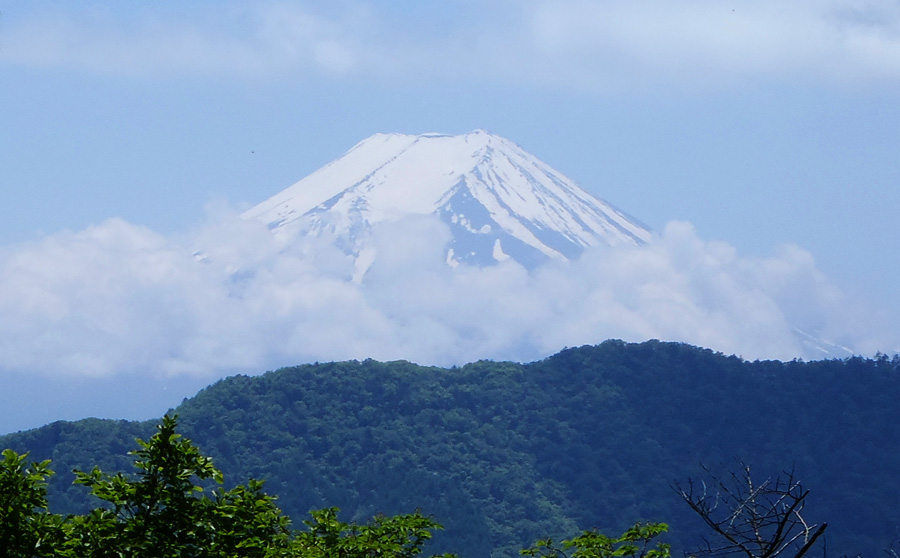 �߃������R�̎R���L�ꂩ��̕x�m�R