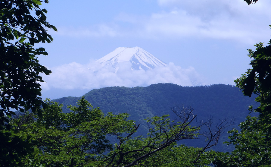 �߃������R����̕x�m�R