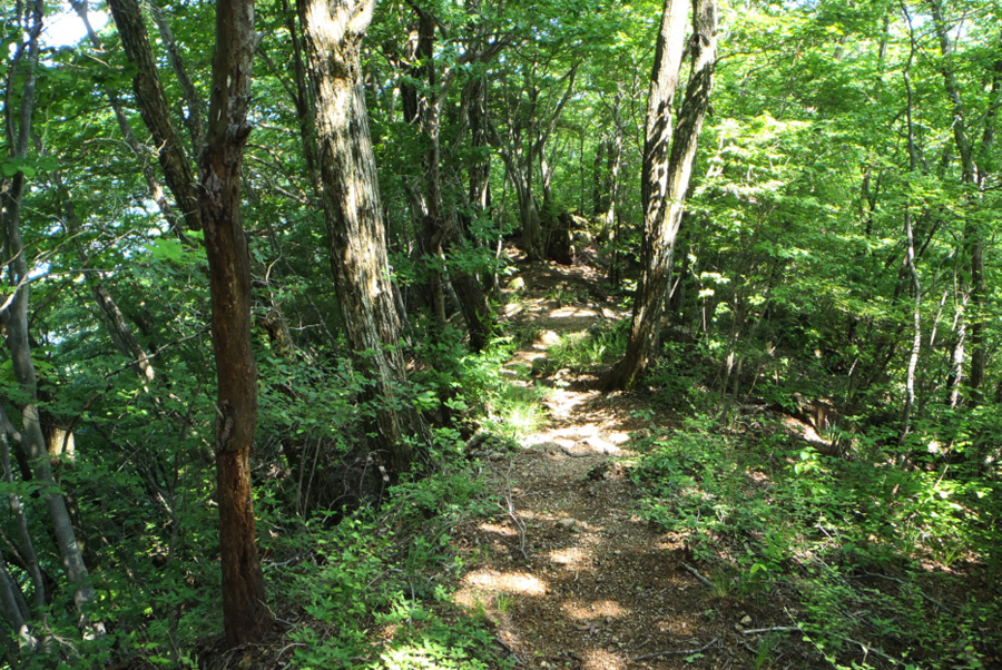 �@�߃������R�`��629�ΕW����̓�