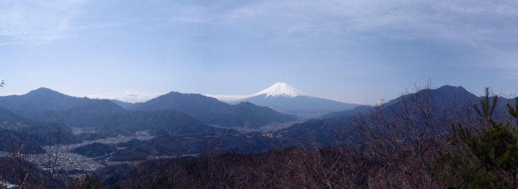 ����R�R������̕x�m�R