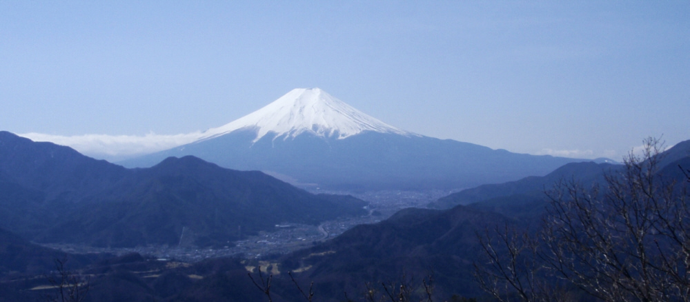 ����R�R������̕x�m�R