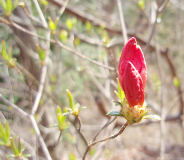 ���}�c�c�W���Q