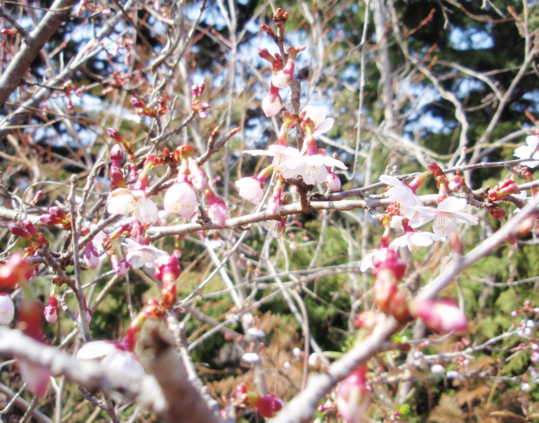 �}���T�N��