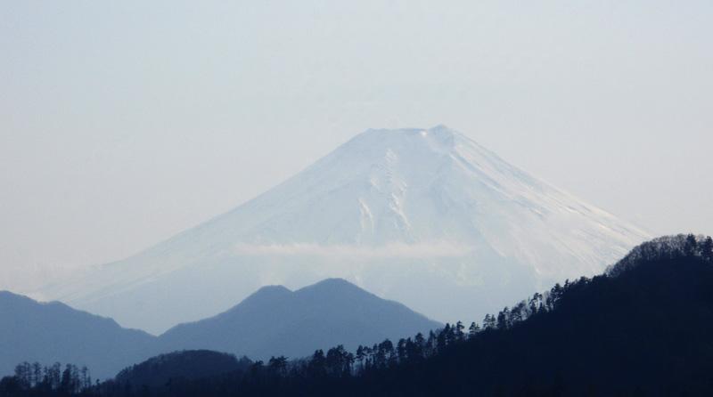 ����ł���x�m�R