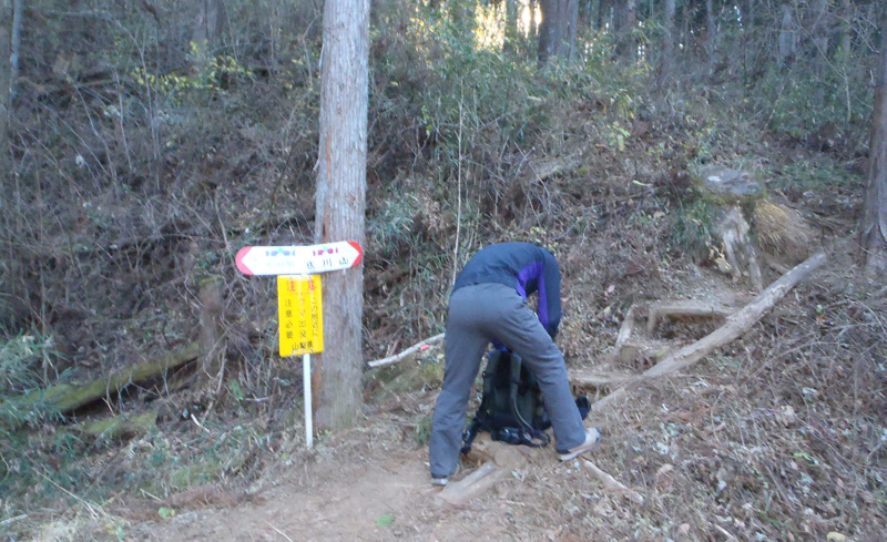 �o�R����������