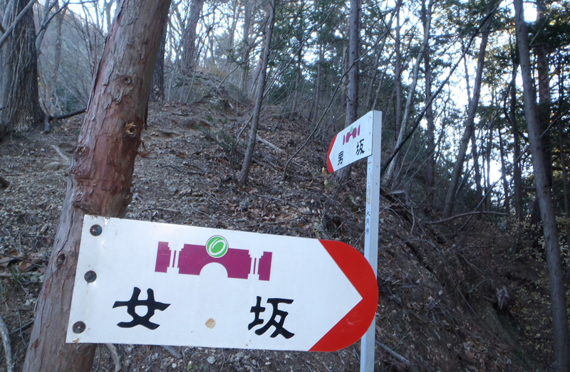 ����ƒj��̕���