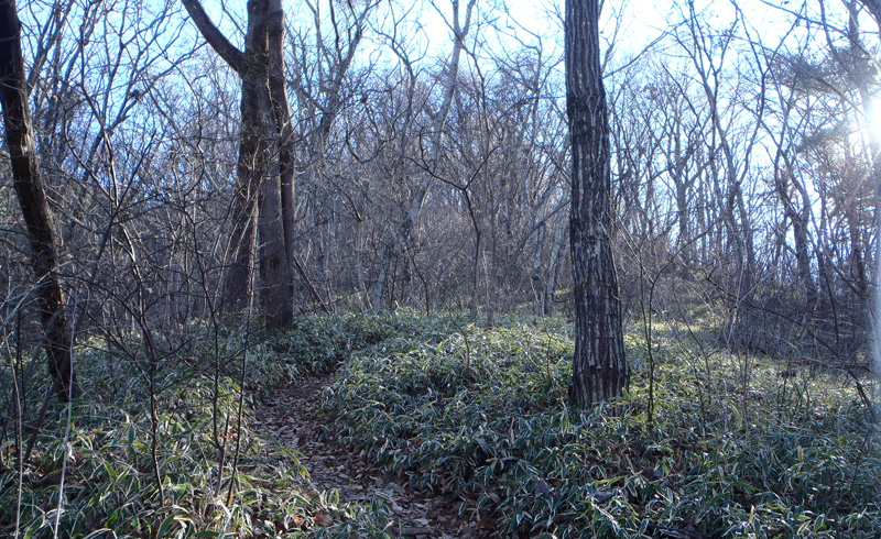 ����R�R���ւ̓o�R��