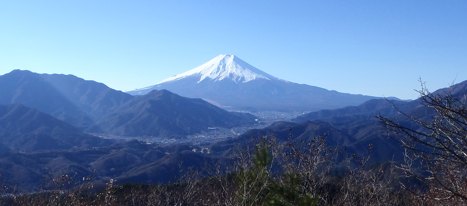 ����R�R������̕x�m�R